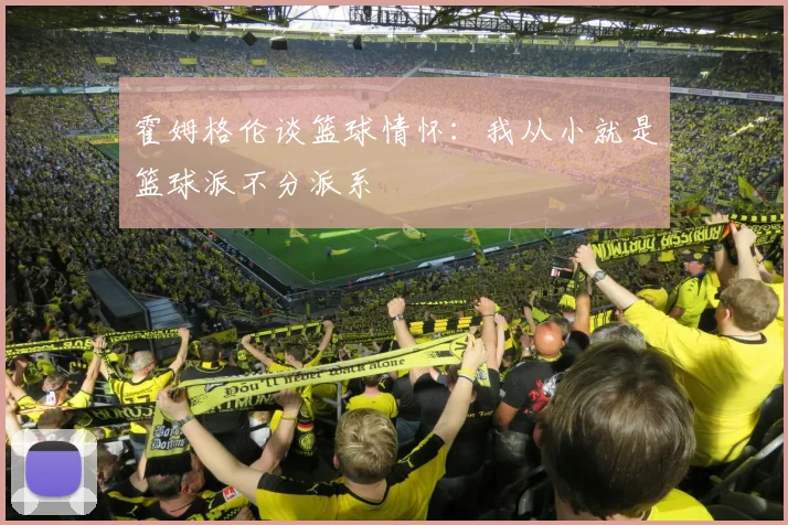 霍姆格伦谈篮球情怀：我从小就是篮球派不分派系